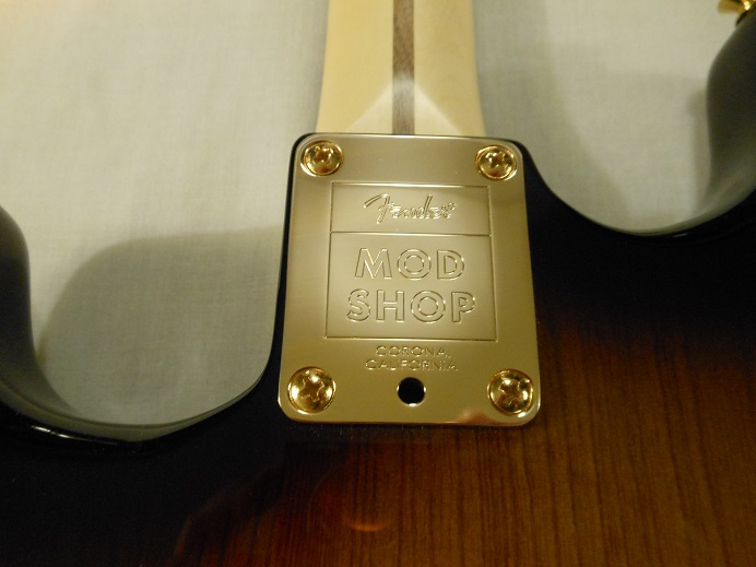 Mod Shop Stratocaster Picture 16
